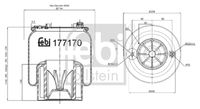 FEBI BILSTEIN 177170 - Fuelle, suspensión neumática