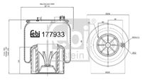 FEBI BILSTEIN 177933 - Fuelle, suspensión neumática