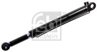 FEBI BILSTEIN 106117 - Medida rosca exterior, lado aspiración: M14 x 1,5<br>Medida rosca exterior, lado presión: M12 x 1,5<br>Longitud [mm]: 767<br>Diámetro exterior [mm]: 61<br>Número de conexiones: 2<br>Diám. de puntos de sujeción [mm]: 16<br>Diám. de puntos de sujeción [mm]: 33<br>Carrera [mm]: 380<br>Peso [kg]: 9,0<br>