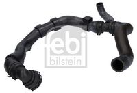 FEBI BILSTEIN 175568 - Tubería de radiador