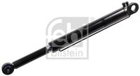 FEBI BILSTEIN 106117 - Medida rosca exterior, lado aspiración: M14 x 1,5<br>Medida rosca exterior, lado presión: M12 x 1,5<br>Longitud [mm]: 767<br>Diámetro exterior [mm]: 61<br>Número de conexiones: 2<br>Diám. de puntos de sujeción [mm]: 16<br>Diám. de puntos de sujeción [mm]: 33<br>Carrera [mm]: 380<br>Peso [kg]: 9,0<br>