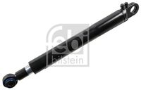 FEBI BILSTEIN 106117 - Medida rosca exterior, lado aspiración: M14 x 1,5<br>Medida rosca exterior, lado presión: M12 x 1,5<br>Longitud [mm]: 767<br>Diámetro exterior [mm]: 61<br>Número de conexiones: 2<br>Diám. de puntos de sujeción [mm]: 16<br>Diám. de puntos de sujeción [mm]: 33<br>Carrera [mm]: 380<br>Peso [kg]: 9,0<br>