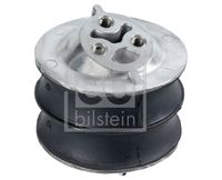 FEBI BILSTEIN 18065 - Soporte, motor