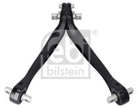 FEBI BILSTEIN 171837 - Longitud [mm]: 552<br>Diám. de puntos de sujeción [mm]: 19<br>Tipo de dirección: Brazo oscilante longitudinal<br>Lado de montaje: Eje trasero<br>Distancia taladros [mm]: 115<br>Diámetro de tubo [mm]: 48<br>Peso [kg]: 10,50<br>