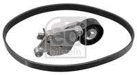 FEBI BILSTEIN 176080 - Código de motor: DV6C<br>Unidades accionadas: Alternador<br>Variante de equipamiento: 150 A  DV6C<br>Número de dientes: 6<br>Ancho [mm]: 21<br>Longitud [mm]: 975<br>cant. correas: 1<br>Rodillos incluidos: 1<br>Peso [kg]: 1,0<br>