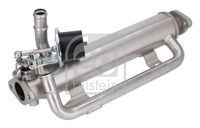 FEBI BILSTEIN 176884 - Elemento enfriador, reciclaje gases escape