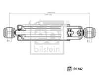 FEBEST 25110003R - Amortiguador