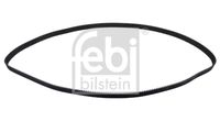 FEBI BILSTEIN 21776 - Correa dentada