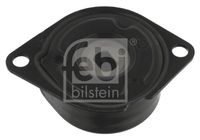 FEBI BILSTEIN 26925 - Código de motor: ALH<br>Código de motor: AGR<br>Ancho de la superficie de contacto de los rodillos [mm]: 24,5<br>Material de carcasa: Aluminio<br>Material rodillos de rodadura: Plástico<br>Diámetro exterior [mm]: 70<br>Tipo de servicio: automático<br>Peso [kg]: 1,413<br>para OE N°: 038 903 315 C<br>