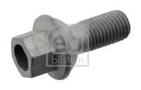 FEBI BILSTEIN 27578 - Longitud [mm]: 45<br>Diámetro exterior [mm]: 25,8<br>Tamaño de rosca exterior: M12 x 1,5<br>Long. de rosca [mm]: 17<br>Calidad/Clase: 8.8<br>Ancho de llave: 17<br>Ancho de llave: 19<br>Fijación de las ruedas: Collar esférico A/G<br>Material: Acero<br>Long. tornillo bajo cabeza [mm]: 24<br>Lado de montaje: Eje delantero<br>Lado de montaje: Eje trasero<br>Par apriete [Nm]: 110<br>Peso [kg]: 0,408<br>con cerrojo: cerrable<br>