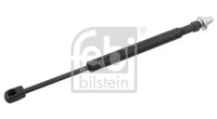 FEBI BILSTEIN 29260 - Muelle neumático, Cristal trasero