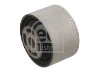 FEBI BILSTEIN 29803 - Cojinetes, diferencial