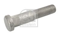 FEBI BILSTEIN 32801 - Longitud [mm]: 132,5<br>Tamaño de rosca exterior: M22 x 1,5<br>Long. de rosca [mm]: 91<br>Calidad/Clase: 10.9<br>Long. vástago [mm]: 18<br>Material: Acero<br>Superficie: revestido láminas de zinc<br>Long. tornillo bajo cabeza [mm]: 122<br>Modelo de tornillo/tuerca: Perno moleteado<br>Diámetro de moleteo [mm]: 25,5<br>Diámetro de cabeza de perno [mm]: 36<br>Peso [kg]: 0,42<br>