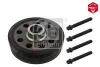 FEBI BILSTEIN 33077 - Polea, cigüeñal - ProKit