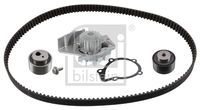 FEBI BILSTEIN 34637 - Código de motor: RHV (DW10TD)<br>Ancho de la superficie de contacto de los rodillos [mm]: 30<br>Material rotor de la bomba: Plástico<br>Número de dientes: 141<br>Correas: con perfil redondeado de dientes<br>Peso [kg]: 1,711<br>Material de las correas: HNBR (Acrilo Nitrilo Butadieno Hidrogenado)<br>