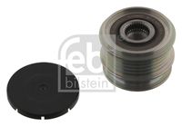 FEBI BILSTEIN 34597 - Número de nervaduras: 5<br>Diámetro [mm]: 54<br>Diámetro interior [mm]: 17<br>Ancho [mm]: 40,6<br>