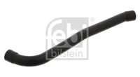 FEBI BILSTEIN 33869 - Tubo flexible, ventilación del cárter - febi Plus