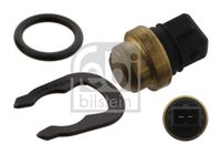 FEBI BILSTEIN 33879 - Interruptor de temperatura, ventilador del radiador