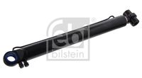 FEBI BILSTEIN 35009 - Medida rosca exterior, lado presión: M12 x 1,5<br>Medida rosca exterior, lado aspiración: M12 x 1,5<br>Longitud [mm]: 677<br>Diámetro exterior [mm]: 60<br>Número de conexiones: 3<br>Diám. de puntos de sujeción [mm]: 20,3<br>Diám. de puntos de sujeción [mm]: 35<br>Carrera [mm]: 455<br>Peso [kg]: 11,6<br>