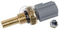 FEBI BILSTEIN 33628 - Sensor, temperatura del refrigerante