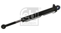 FEBI BILSTEIN 39496 - Medida rosca exterior, lado aspiración: M12 x 1,5<br>Medida rosca exterior, lado presión: M14 x 1,5<br>Longitud [mm]: 496<br>Diámetro exterior [mm]: 60<br>Número de conexiones: 2<br>Diám. de puntos de sujeción [mm]: 28<br>Diám. de puntos de sujeción [mm]: 32<br>Carrera [mm]: 360<br>Peso [kg]: 9,2<br>