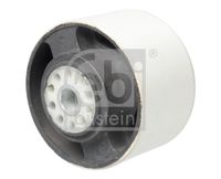 FEBI BILSTEIN 45060 - Espesor [mm]: 53<br>Diámetro interior [mm]: 10<br>Diámetro exterior [mm]: 65<br>Material: Caucho/metal<br>Lado de montaje: posterior<br>Tipo de cojinetes: Rodamiento de caucho-metal<br>Peso [kg]: 0,58<br>