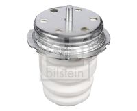 FEBI BILSTEIN 46108 - Código de motor: F1CFA401A<br>Código de motor: F1CE0441A<br>Suspensión: para vehículos sin chasis activo<br>Código de motor: F1CFA401C<br>Suspensión: para vehículos con chasis reforzado<br>Suspensión: para vehículos sin chasis activo<br>Longitud [mm]: 150<br>Tamaño de rosca exterior: M10 x 1,25<br>Material: PU (poliuretano)<br>Lado de montaje: Eje trasero izquierda<br>Lado de montaje: Eje trasero, derecha<br>Peso [kg]: 0,53<br>