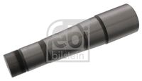 FEBI BILSTEIN 45047 - Pivote del muñón del eje