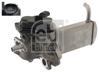 FEBI BILSTEIN 49558 - Módulo EGR