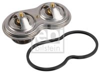 FEBI BILSTEIN 49681 - Termostato, refrigerante