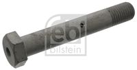 FEBI BILSTEIN 48393 - Perno de ballesta