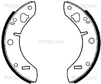 TRISCAN 810065011 - Lado de montaje: Eje trasero<br>Diámetro interior de tambor de freno [mm]: 203<br>Ancho [mm]: 38<br>Peso [kg]: 1,46<br>