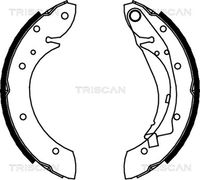 TRISCAN 810028598 - Juego de zapatas de frenos