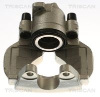 TRISCAN 8170342818 - Pinza de freno