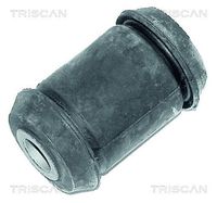 TRISCAN 850010809 - Suspensión, Brazo oscilante