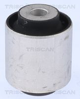 TRISCAN 8500118024 - Suspensión, Brazo oscilante