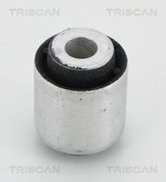 TRISCAN 850011891 - Suspensión, Brazo oscilante