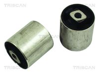 TRISCAN 850011834 - Suspensión, Brazo oscilante