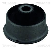 TRISCAN 8500 16807 - Suspensión, Brazo oscilante