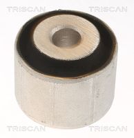 TRISCAN 8500238029 - Suspensión, Brazo oscilante