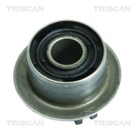 TRISCAN 850023821 - Suspensión, Brazo oscilante