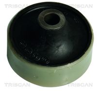 TRISCAN 8500 24845 - Suspensión, Brazo oscilante