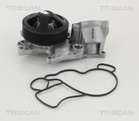 TRISCAN 8600 11040 - Bomba de agua, refrigeración del motor