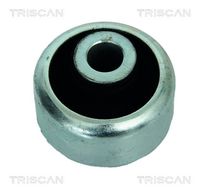 TRISCAN 850025811 - Suspensión, Brazo oscilante