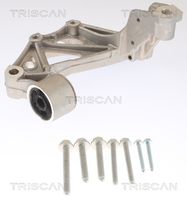 TRISCAN 8500295261 - Soporte cojinete, cuerpo del eje