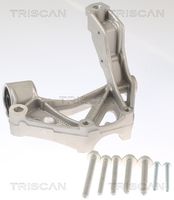 TRISCAN 8500295262 - Soporte cojinete, cuerpo del eje