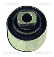 TRISCAN 850029841 - Suspensión, Brazo oscilante