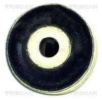 TRISCAN 850029845 - Suspensión, Brazo oscilante