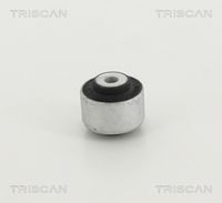 TRISCAN 8500298041 - Suspensión, Brazo oscilante