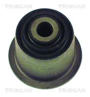 TRISCAN 850029806 - Suspensión, Brazo oscilante